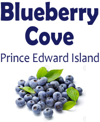 Logo: Blueberry Cove