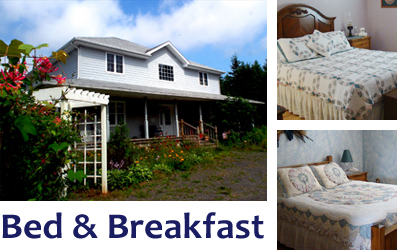 Blueberry Cove Bed & Breakfast